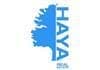Haya Real Estate