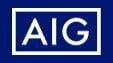 American International Group, Inc.