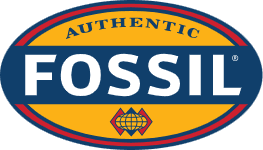 FOSSIL