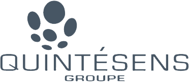 Groupe Quintésens