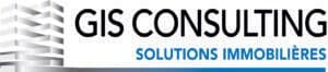 GIS Consulting
