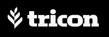 Tricon Capital Group, Inc.