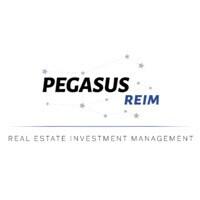 Pegasus REIM