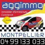 Aggimmo