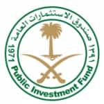 Public Investment Fund