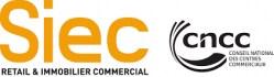 Siec